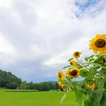 Katarina By Interhome Apartment *