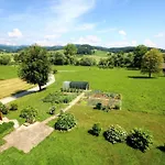 Apartment Katarina By Interhome *