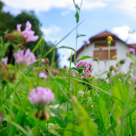 Katarina By Interhome Apartment