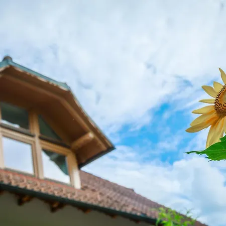 Katarina By Interhome Apartment Mokronog