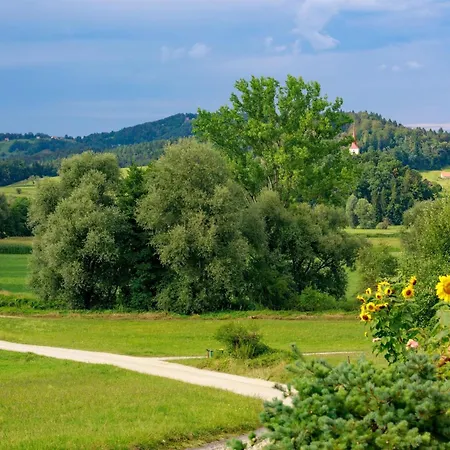 Apartment Katarina By Interhome