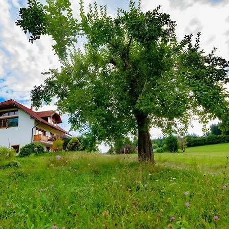 Katarina By Interhome Apartment